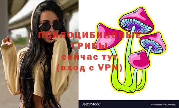 а пвп мука Богданович