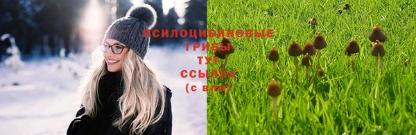 дмт Богородск
